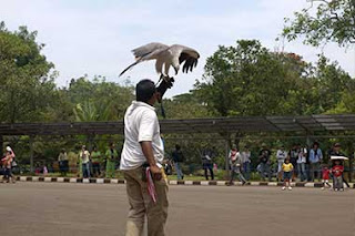 Kebun Binatang Ragunan Di Jakarta