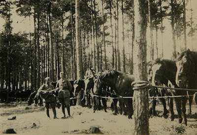 andra världskriget norrland norrbotten soldater hollasenmaa