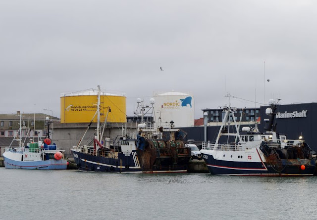 Hirtshals: 5 lohnenswerte Ausflugsziele. Der Hafen ist ein spannendes Ziel, dort legen die großen Fähren an.