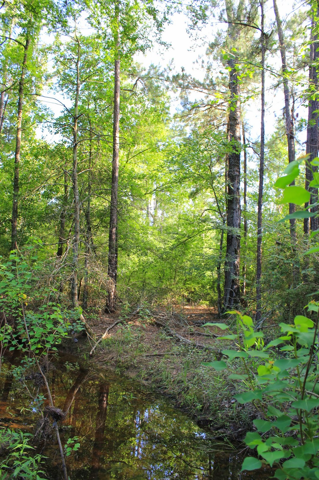 Rumbaugh Properties - Real Estate Tips and Tidbits - Greater Houston TX ...