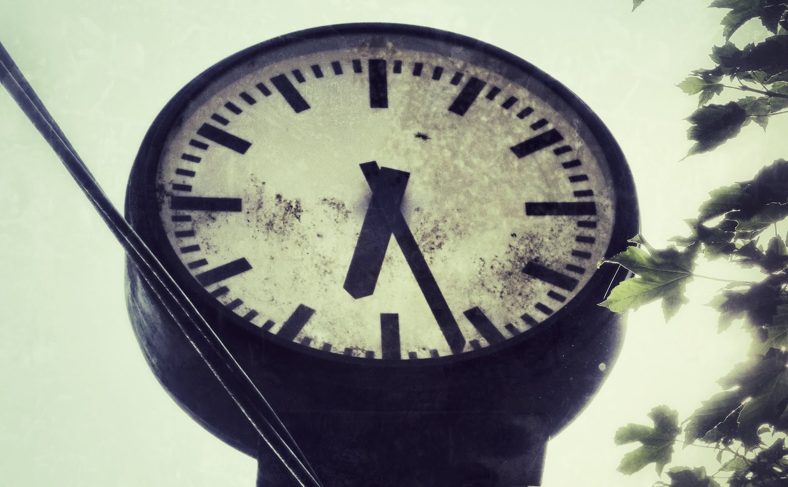 Ppq Akute Nachrichten Aus Dem Notstandsgebiet Angst Analyse