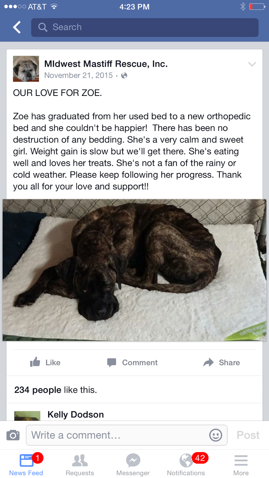 Giving My Dog Away Was The Worst Decision Of My Life