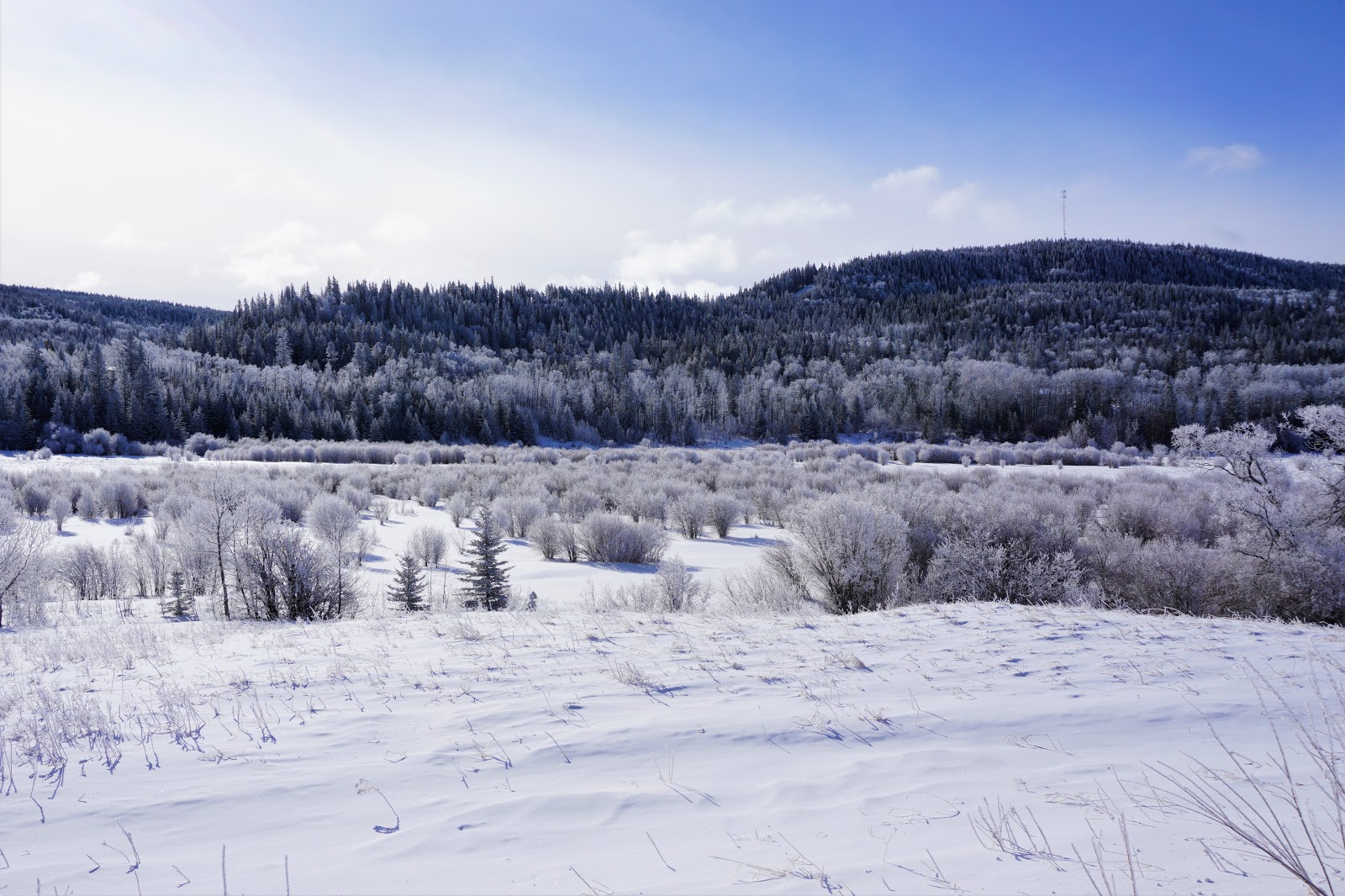 10 Things to Do in Cypress Hills Provincial Park this Winter Play Outside Guide