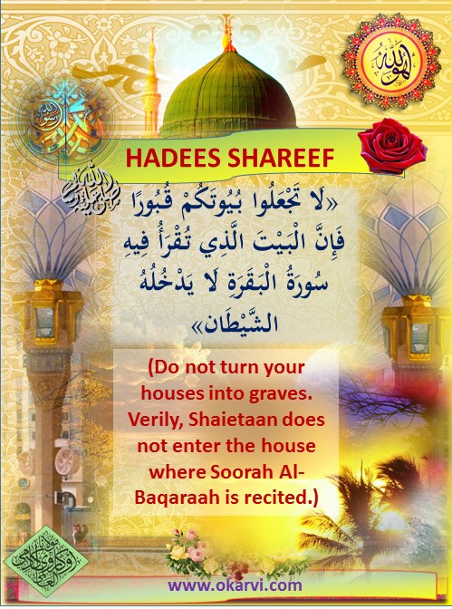 Islam My Ultimate Decision Surah Al Baqarah The Cow Chapter 2