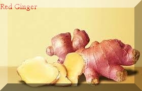 Benefits of Red Ginger For Treatment and How to Make It