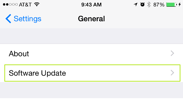 Menu Software Update pada iOS.