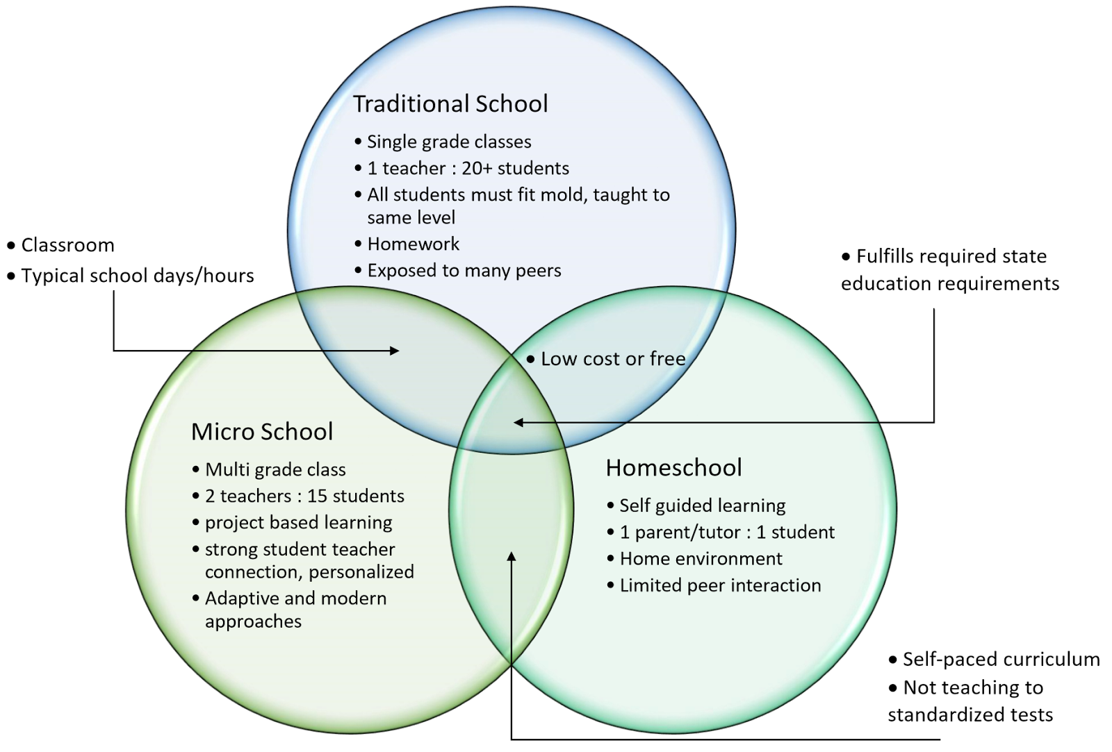 What is a micro school?