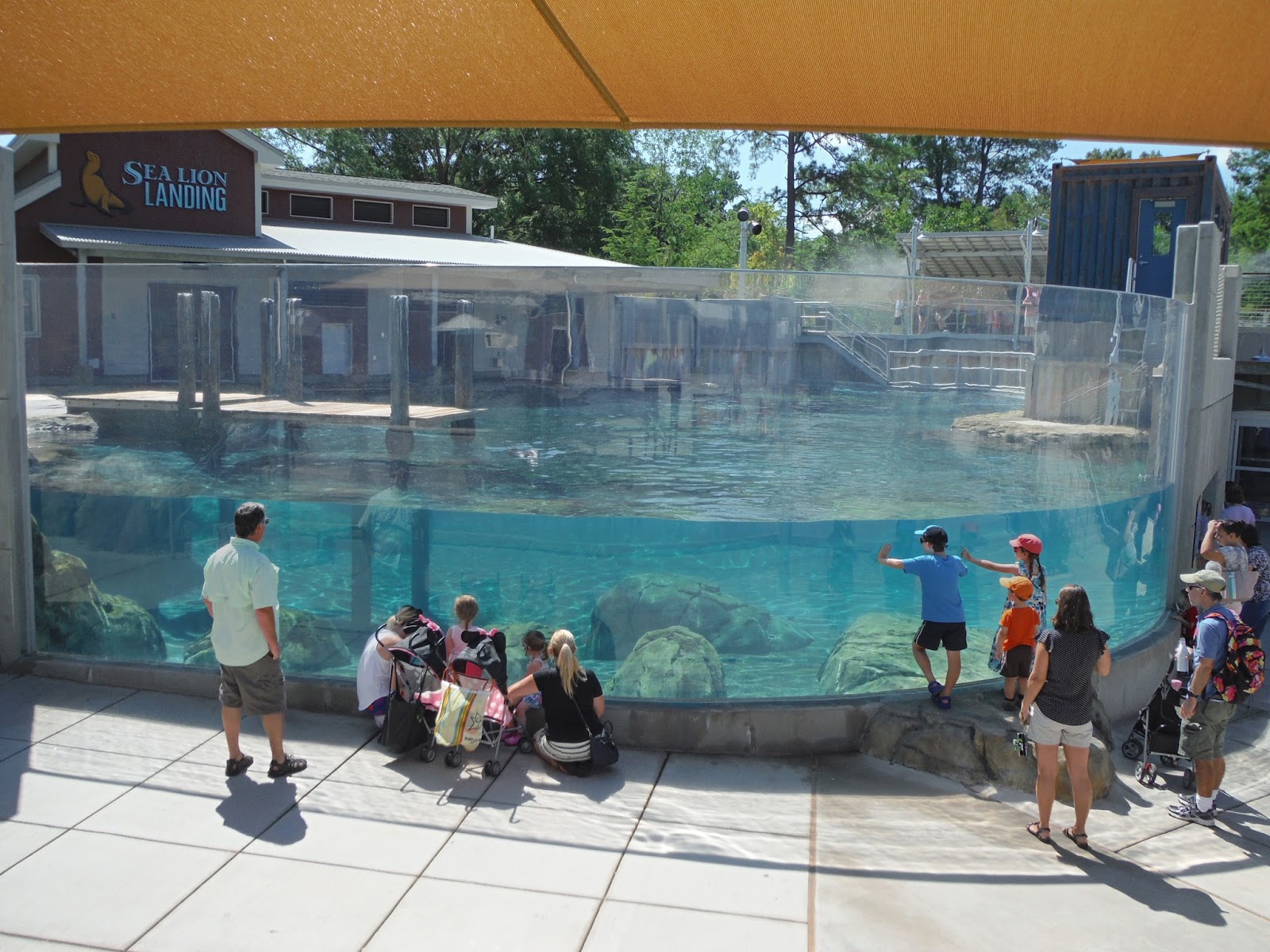 Sea Lion Landing, Riverbanks Zoo and Garden, Columbia, South Carolina