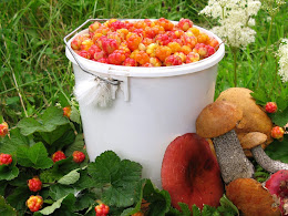 Best Relaxing Places In The World