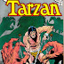 Tarzan #224 - Joe Kubert art & cover 