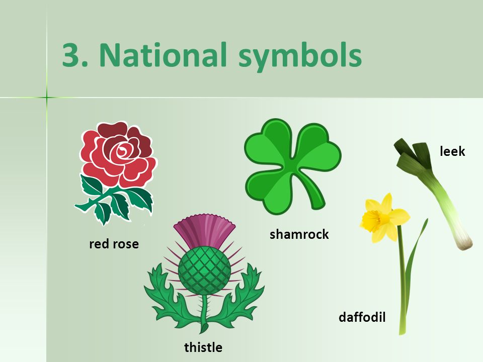 Uk rising. Национальные символы Англии Шотландии Уэльса и Северной Ирландии. Цветы Британии символы. Символы Англии Уэльса Шотландии.