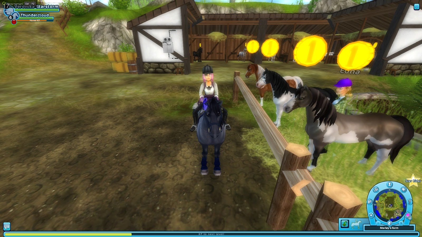 New American Paint Horses