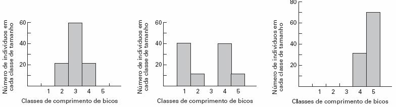 Biologia em Evidência - Um Ensaio sobre a Vida: TD DE RECUPERAÇÃO - 3 ANO
