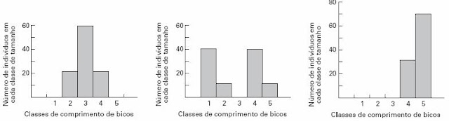Biologia em Evidência - Um Ensaio sobre a Vida: TD DE RECUPERAÇÃO - 3 ANO