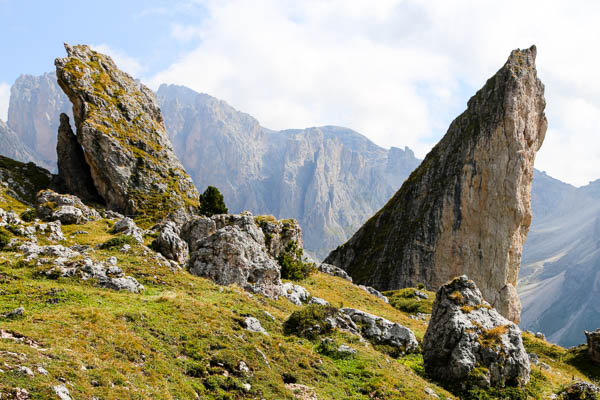 Family hike to the Pieralongia mountain pasture