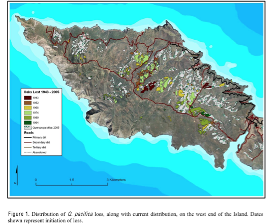 Geography 5: Catalina Island Ecosystem