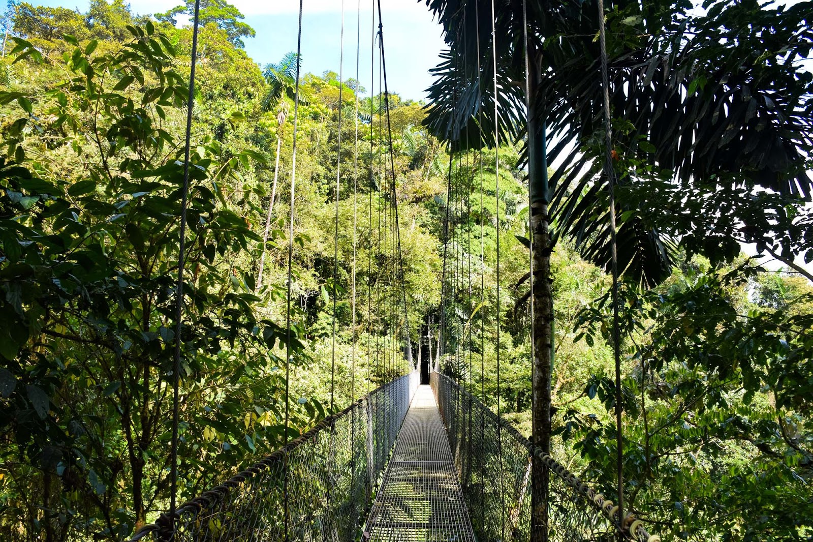 arenal hanging bridges