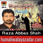 http://www.humaliwalayazadar.com/2012/11/raza-abbas-shah-nohay-2001-2013.html