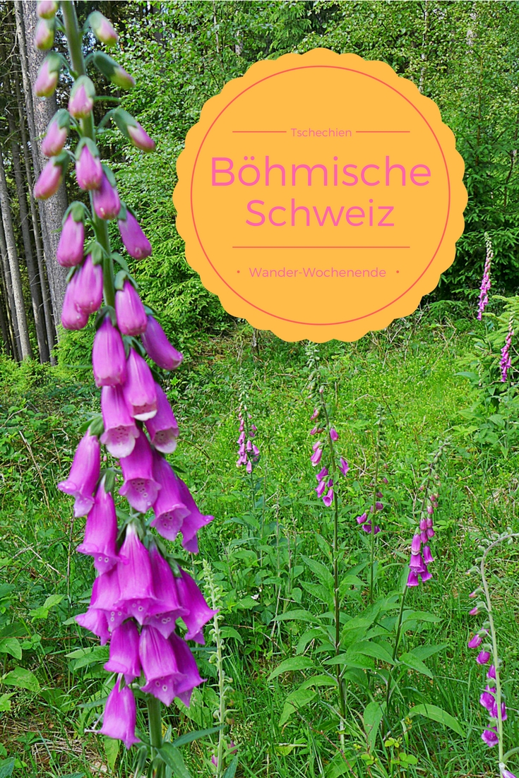 Strassengezwitscher E V Strassengezwitscher E V Betterplace Org