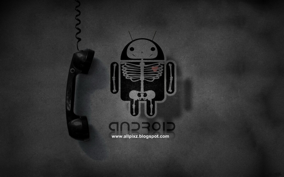 PHOTOGRAPHYBLOG,WALLPAPERS,HD IMAGES,HD WALLPAPERS, PHOTOS: full hd