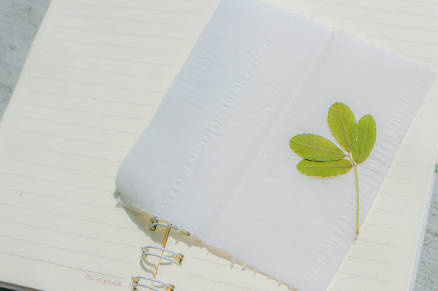 Top 99+ Caption hay về cuộc sống giúp bạn vựt dậy tinh thần