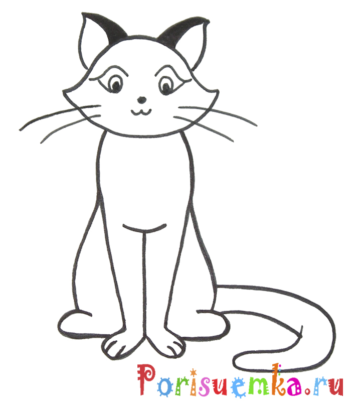 Картинки сидящего кота для срисовки