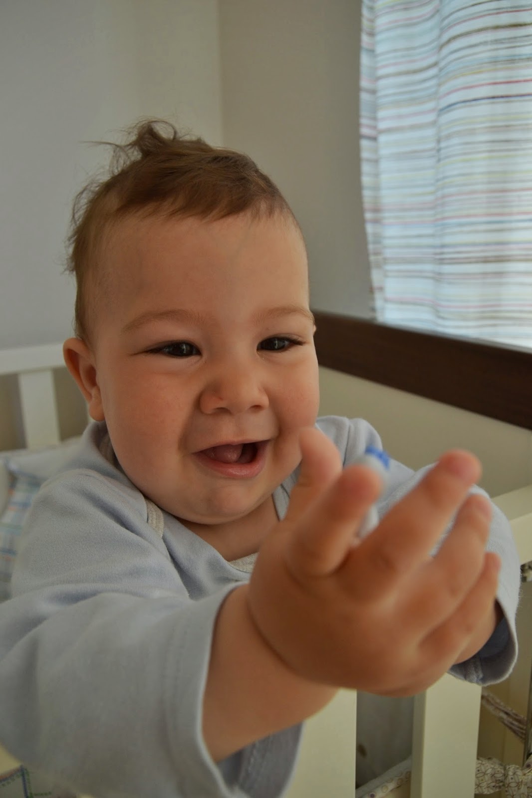 2 Köpek &amp; 1 Bebek Nisan 2014