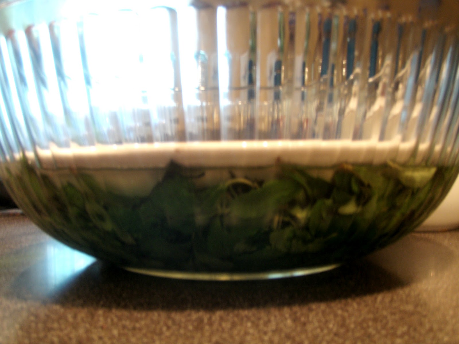 The Homesteading Maven How to Make Liquid Stevia