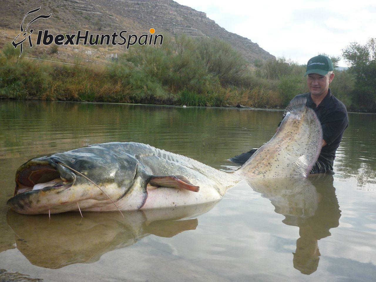 Spanish Ibex Hunts Ibex Hunting in Spain Hunting
