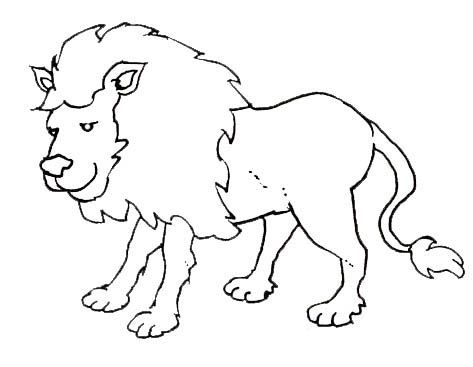 desenhos de animais selvagens para imprimir atividades pedagógicas