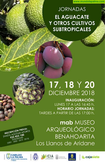 El Cabildo dedica unas jornadas al aguacate y a otros cultivos subtropicales