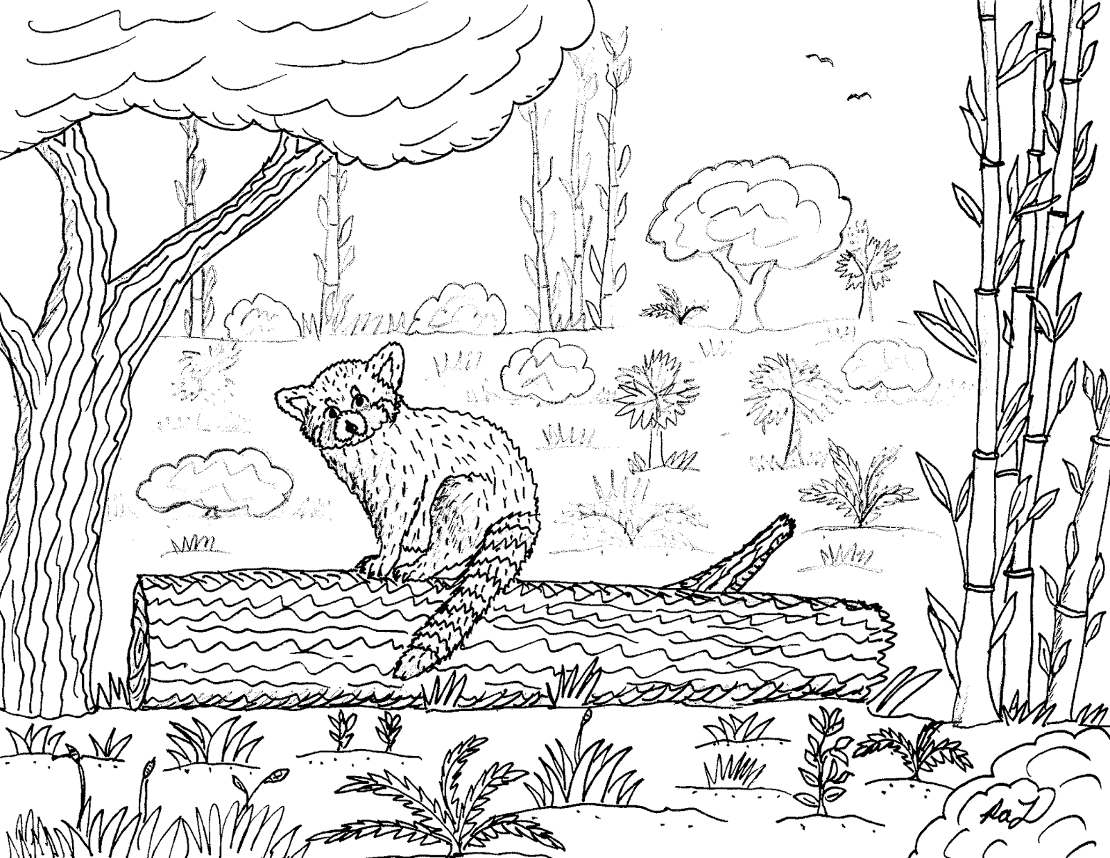 Robin's Great Coloring Pages: Red Panda
