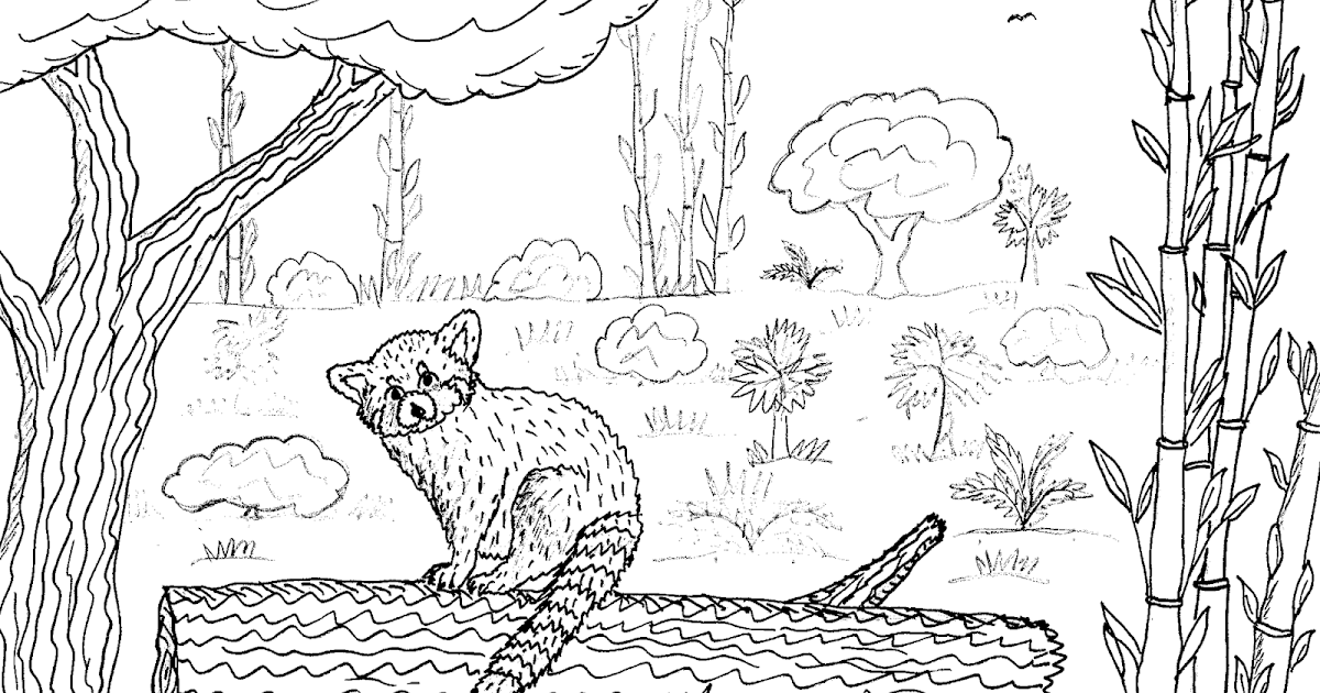 Robin's Great Coloring Pages: Red Panda