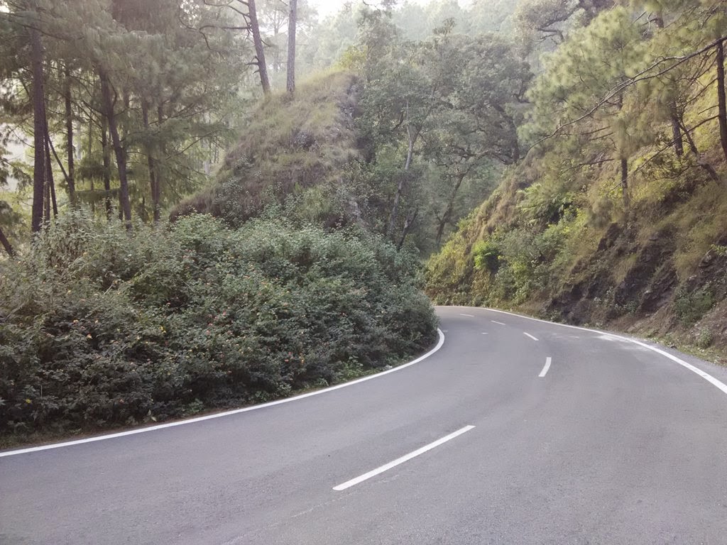 nainital naukuchiatal road