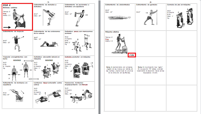 descargar rutinas musculacion pdf viewer descargar rutinas musculacion pdf viewer