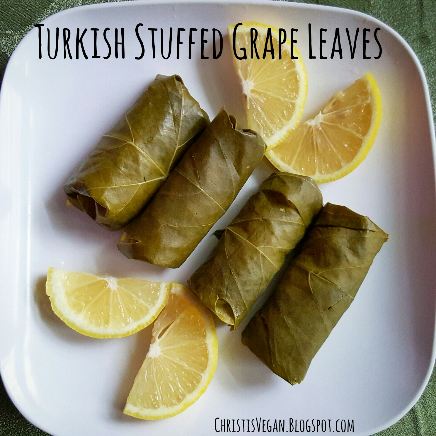 Christi's Vegan Life Turkish Stuffed Grape Leaves