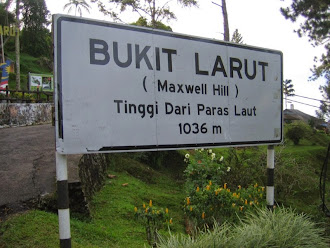 Maxwell Hill or Bukit Larut at Wikipedia