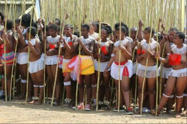 😕45 000 Virgin Zulu Maidens Step Out Topless For Testing In South Africa Photos News Inka 
