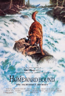 Homeward.bound_dvd_cover.jpg