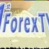 تردد قناة الفوركس 1st ForexTV على النايل سات 2019 تردد قناة الفوركس 1st ForexTV على النايل سات 2019