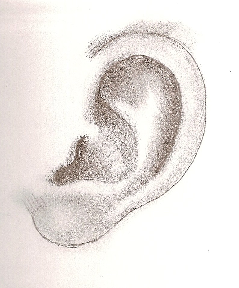 Beauty of Black and White: Tutorial 1: Ears