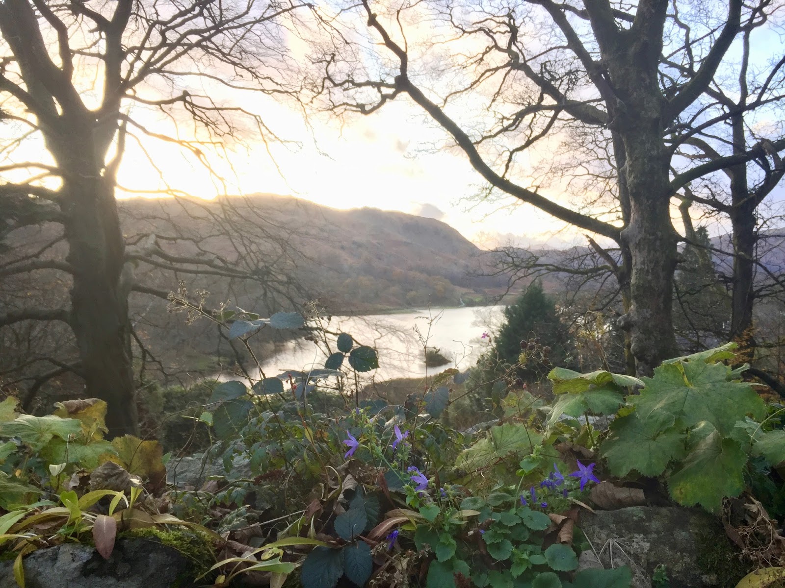 Rydal Gardens