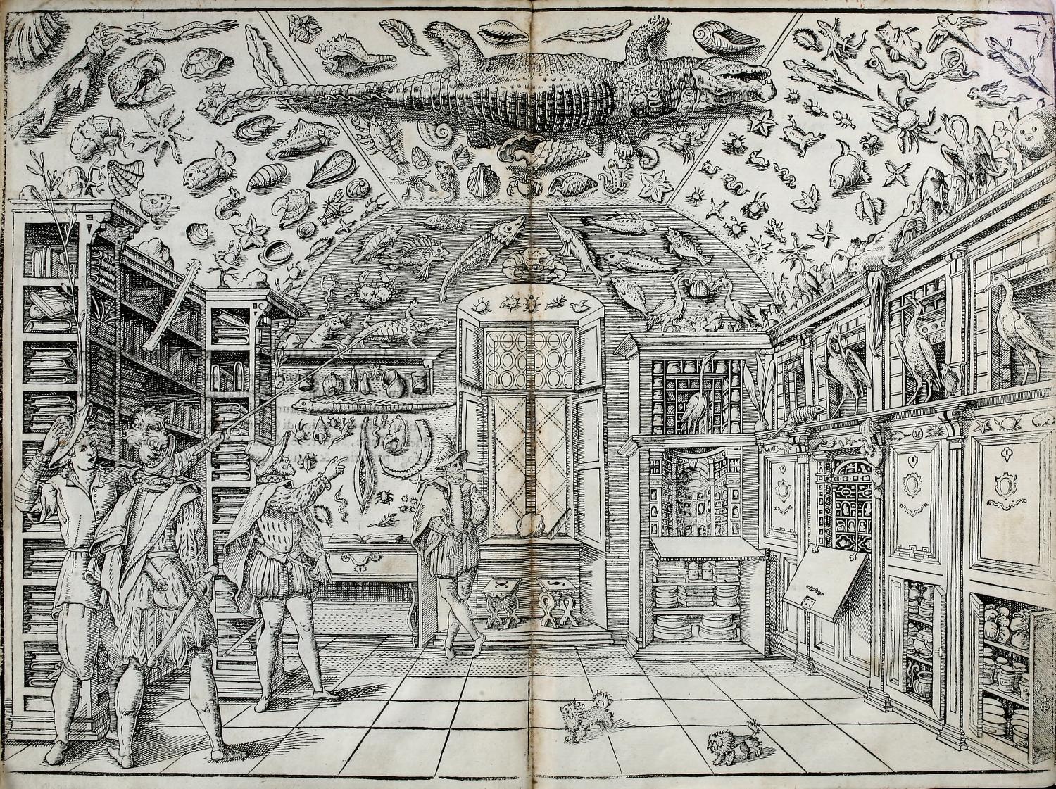 Cabinet Of Wonders Cabinet Of Wonders