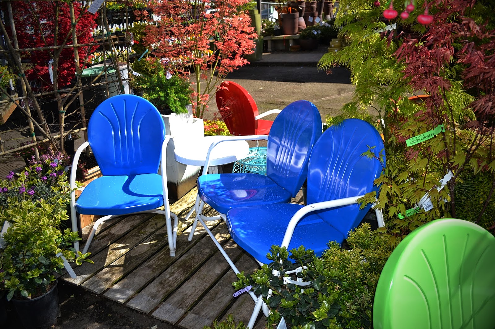 The Outlaw Gardener My First Visit To West Seattle Nursery