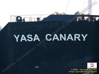 Yasa Canary