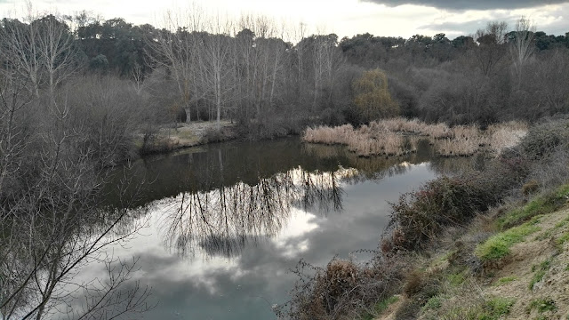 Manzanares, Parque Lineal, El Pardo, Excursiones, 