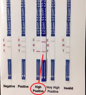 Is Michelob Ultra Gluten Free 