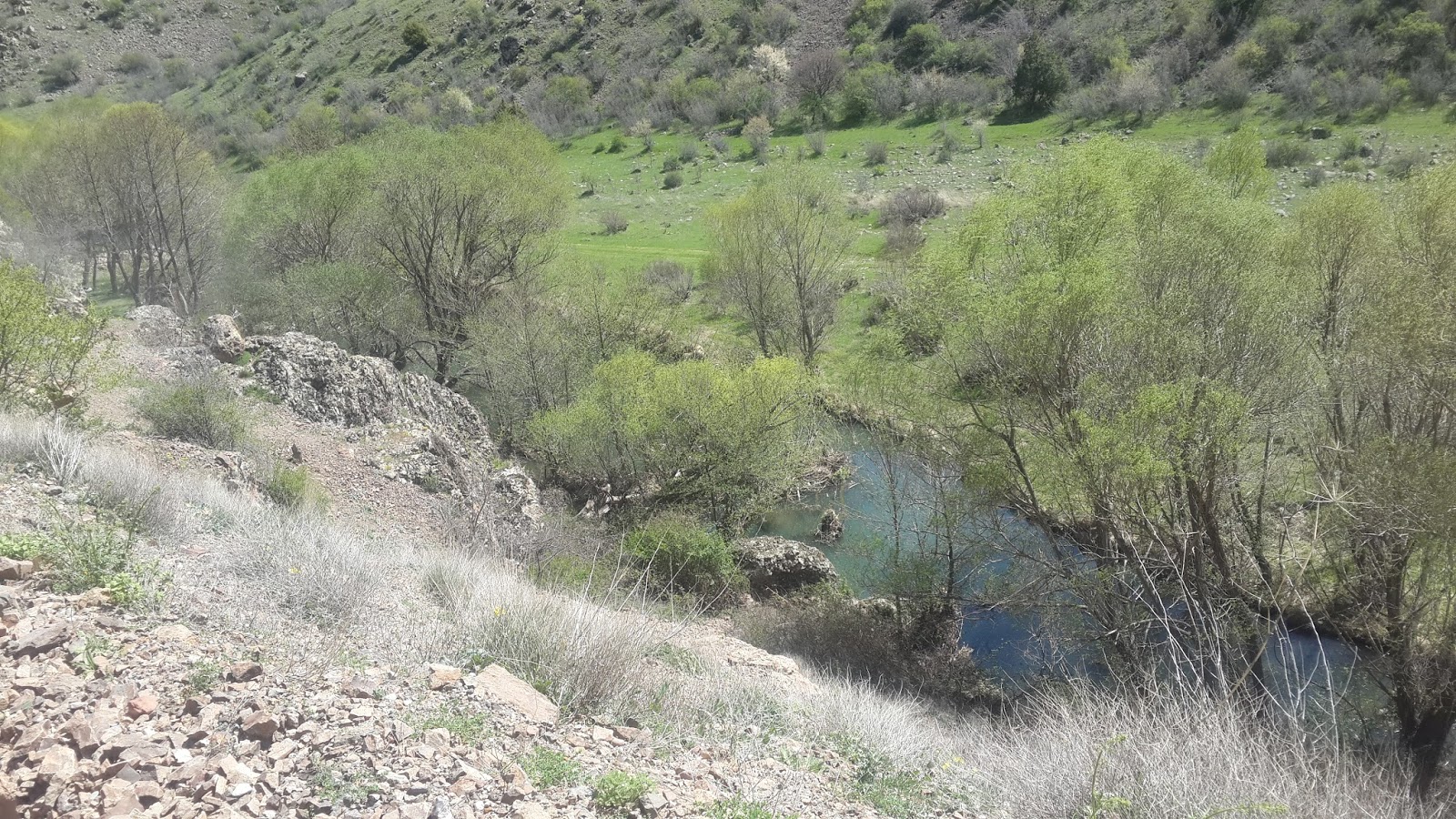 never ride flat alicin manastiri