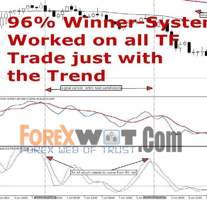 forex trading system 96 percent winners arent losers