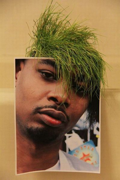 Πως συμπεριφέρονται τα ζώδια μπροστά στην κάμερα